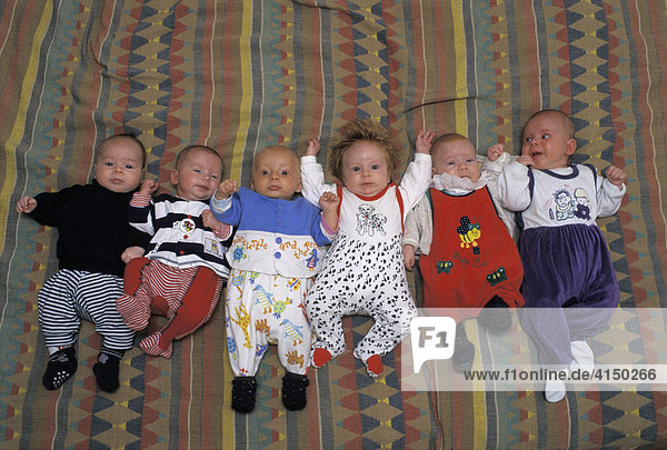 Sechs zwei bis drei Monate alte Babies liegen in der Reihe