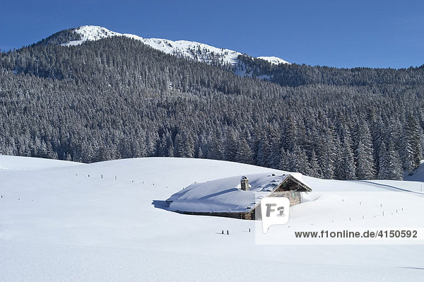 Die ganzjährig bewirtschaftete Traunsteiner Skihütte 1260 m auf der Winklmoos Alm im Hintergrund das Dürrnbachhorn 1776 m Oberbayern Deutschland