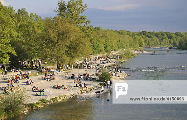 Grillfeste am Flaucher an der Isar München Oberbayern Bayern Deutschland