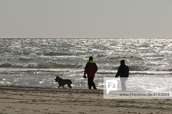 Spaziergaenger am Nordseestrand in Daenemark / Couple walking at the beach of the North Sea  Jutland  Denmark