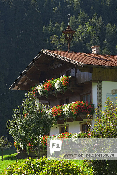 Typisches Bauernhaus im Stubaital  Tirol  Österreich