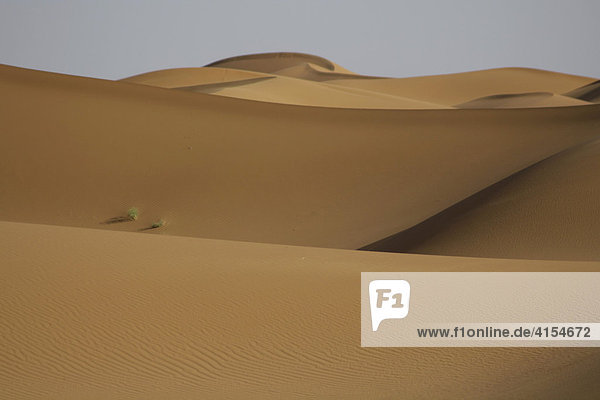 Sanddünen  Erg Chebbi  Marokko