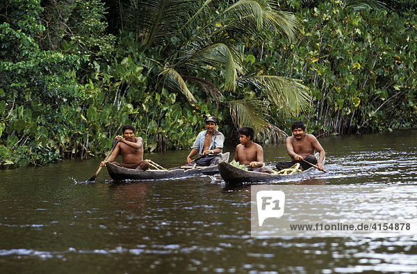 Warao Indians in a dugout canoe  Orinoco River Delta  Venezuela  South America