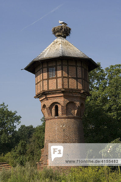 Weißstorch (Ciconia ciconia) auf Wasserturm  Rühstädt  Deutschland