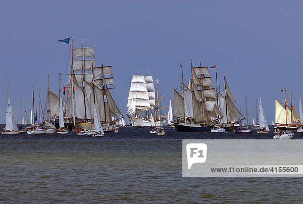 Parade of sailing ships during Kiel Week 2006  Kiel Fjord  Schleswig-Holstein  Germany