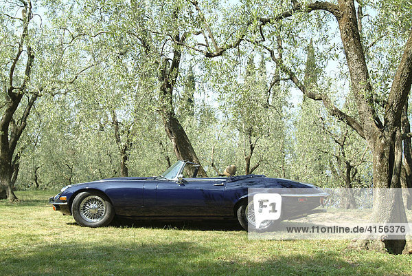 Dunkelblauer Jaguar Type E in Olivenhain
