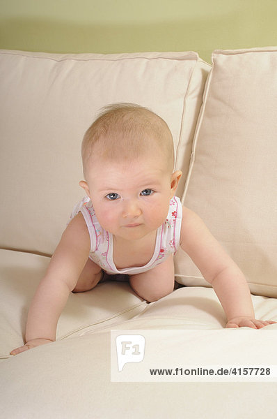 Baby in Unterhemd  Body  7 Monate  auf Sofa  krabbelt  Vierfüßlerstand