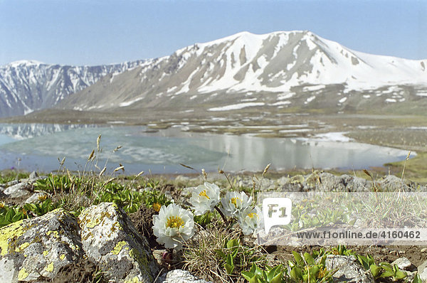 Bergsee. Nationalpark Ili-Alatau  Sailijskij Alatau  Alma-Ata Gebiet  Kasachstan