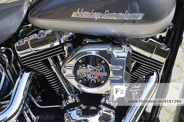 Twincam Motor von einer Harley Davidson Fat Boy