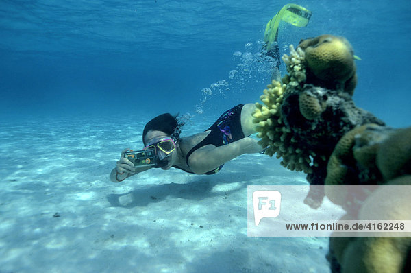 Snorkler with a photo camera in the coral reef Egypt.