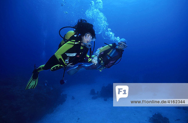 Never dive alone two divers  Education  the Caribbean.