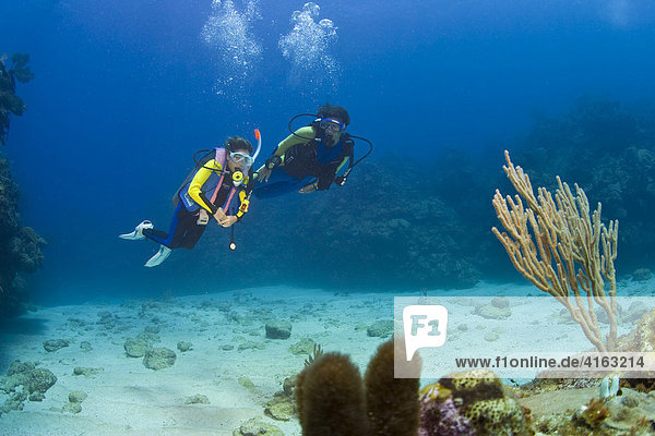 Mother and daughter scuba diving  Roatan  Honduras  Caribbean