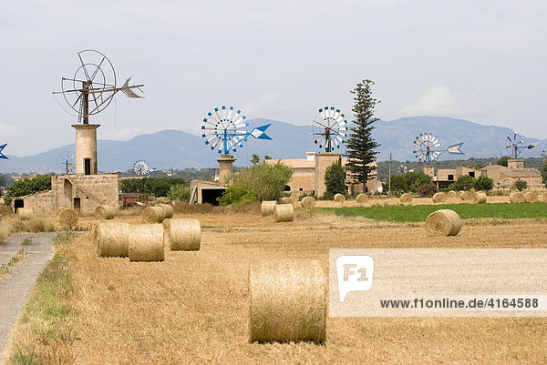 Windmühlen mit Strohballen im Vordergrund Mallorca Spanien