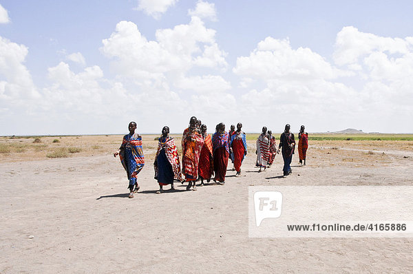 Massai  Massai warriors  Amboseli national park  Kenya  Africa