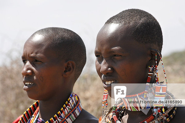 Massai  Massaifrauen in bunter Kleidung und mit traditionellem Schmuck  Amboseli National Park  Kenia  Afrika