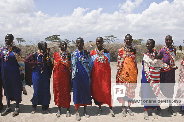 Massai  Massai women having a traditional dance  Amboseli national park  Kenya  Africa