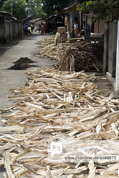 Wood laid out on the road to dry  Banyumulek  Lombok Island  Lesser Sunda Islands  Indonesia  Asia