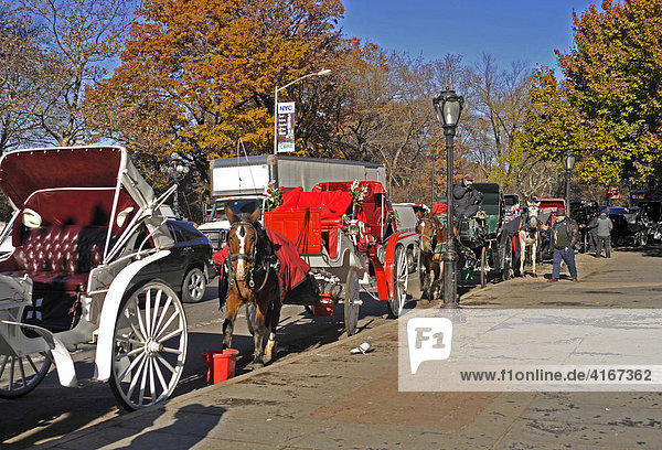 Pferdekutschen am Central Park Manhattan New York USA