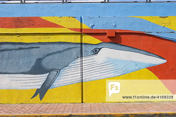 Hafenmauer mit lebensgroßen Malereien von Walen und Delfinen in Los Cristianos - Teneriffa
