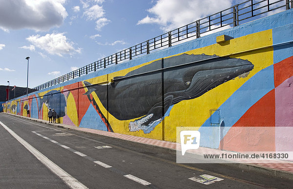 Hafenmauer mit lebensgroßen Malereien von Walen und Delfinen in Los Cristianos - Teneriffa