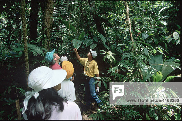 Tourists in rainforest Costa Rica
