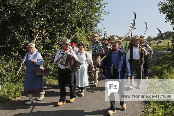 Rhöner Viehabtrieb in Simmershausen bei Hilders Rhön Hessen Deutschland