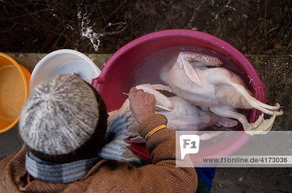 bauernhof - Fotograf imageBROKER RM, insgesamt 472 Bilder bei ...