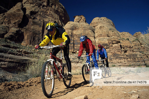 Mountain bikers  Moab  Pritchett Canyon  Utah  USA