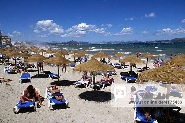 Strand  Bucht Alcudia  Can Picanfort  Mallorca  Balearen  Spanien