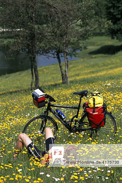 Cyclist  Bavarian Forest  Bavaria  Germany