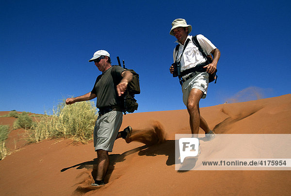 Men walking down dune  Tok Tokkie Trail  NamibRand Nature Reserve  Namibia  Africa
