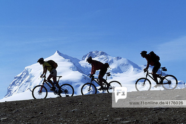 Mountainbiker  Alphubel  Rimpfischhorn  Zermatt  Wallis  Schweiz