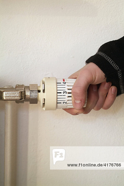 Thermostat an heizkoerper