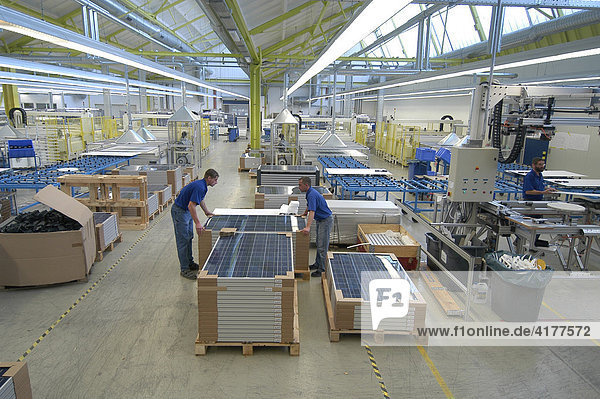 Produktion von Solarmodulen bei der SOLON AG  Greifswald  Mecklenburg-Vorpommern  Deutschland