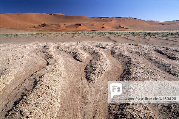 Dry river bed in front of the Sossusvlei dunes in the Namibian dessert  Namib-Naukluft National Park  Namibia  Africa