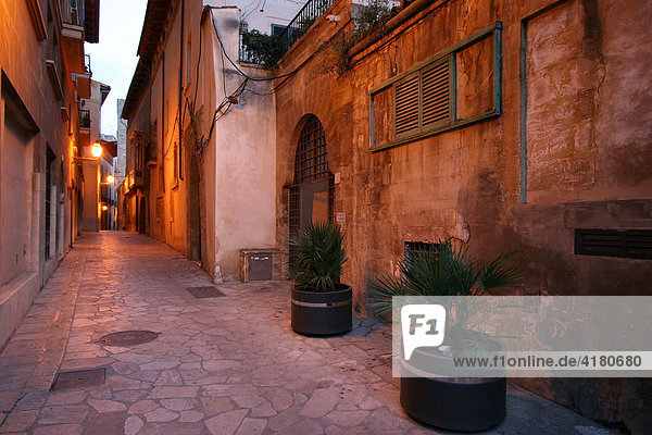 Narrow lane in the old town of Palma de Mallorca  Majorca  Spain  Europe