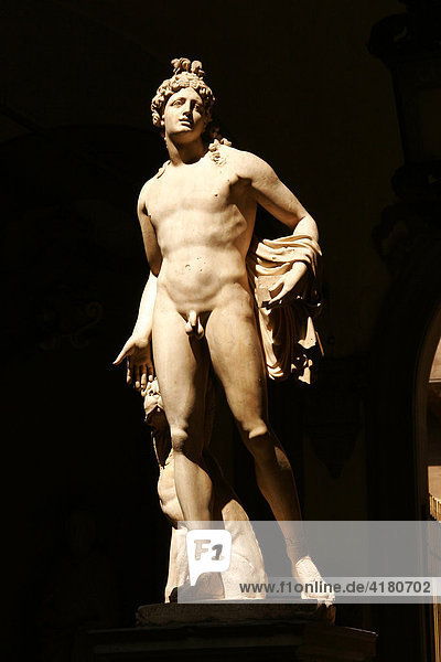 Statue in the courtyard of the Palazzo Medici Riccardi  Florence  Tuscany  Italy