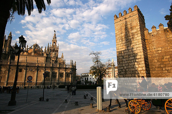 Pferdekutsche mit Touristen auf Stadtrundfahrt vor Kathedrale von Sevilla Andalusien Spanien Europa