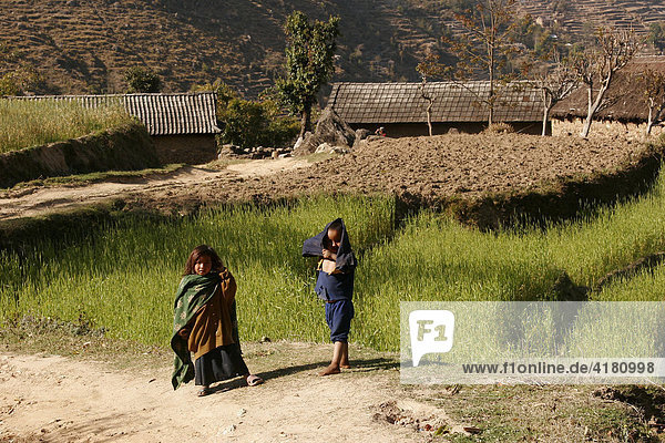 Children in the mountainous countryside surrounding Nagarkot  Nepal  Asia