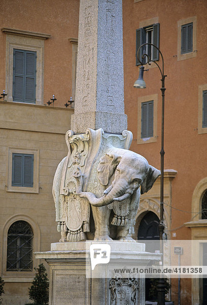 Berninis Elefant  Piazza della Minerva  Rom  Latium  Italien