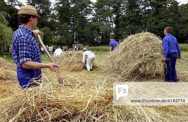Traditional way to build a hay stack in Spreewald
