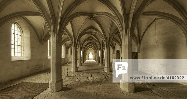 Krypta der ehemaligen Klosterkirche Johannes der Täufer in Mariaburghausen bei Hassfurt  Unterfranken  Bayern  Deutschland  Europa