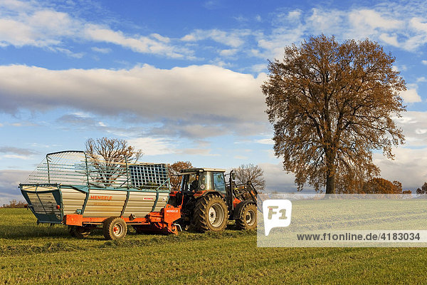 A tractor transports green fodder  Switzerland