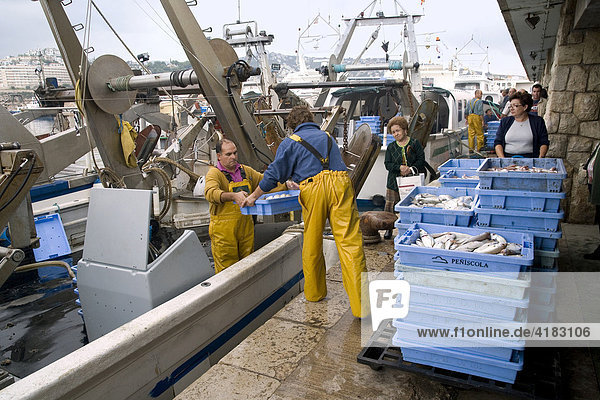 Fishermen reload fresh caught seafish  Peniscola  Costa Azahar  Spain  Europe