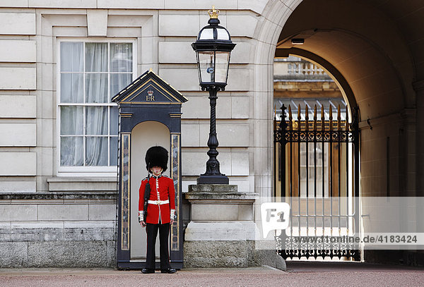 Wache vor dem Buckingham Palast in London  England