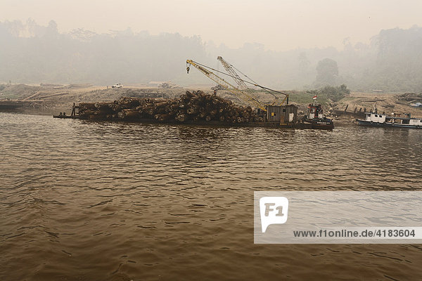 Baumstämme bereit zum Abtransport auf Fluss Sungai Mahakam  Ost-Kalimantan  Borneo  Indonesien