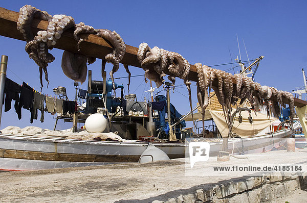 Tintenfisch hängt zum trocknen vor einem Fischerboot im Hafen von Naoussa  Kykladen  Griechenland.