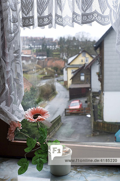 Trostloser Blick auf Altenau durch ein Fenster  umrahmt von einer gehäkelten Gardine. Auf der Fensterbank steht eine künstliche Blume.