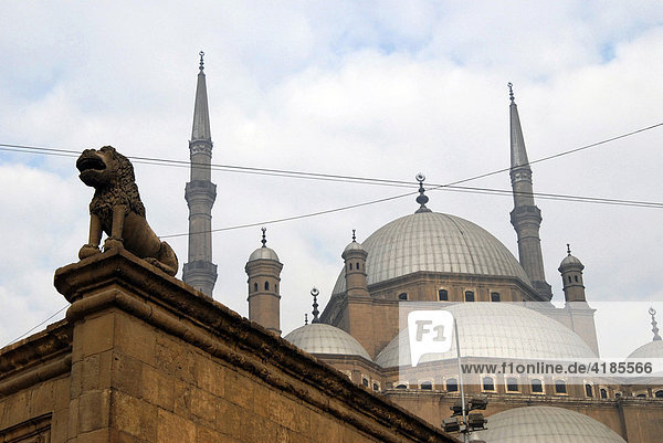 Kairo - Die Mehmet Ali Moschee - Alabaster Moschee auf der Zidadelle mit Steinernem Loewen  Kairo  Ägypten