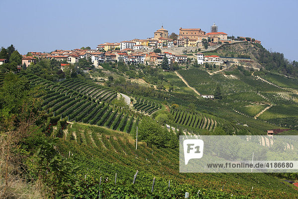 Weinlandschaft im Langhe  bei La Morra  Piemont  Italien